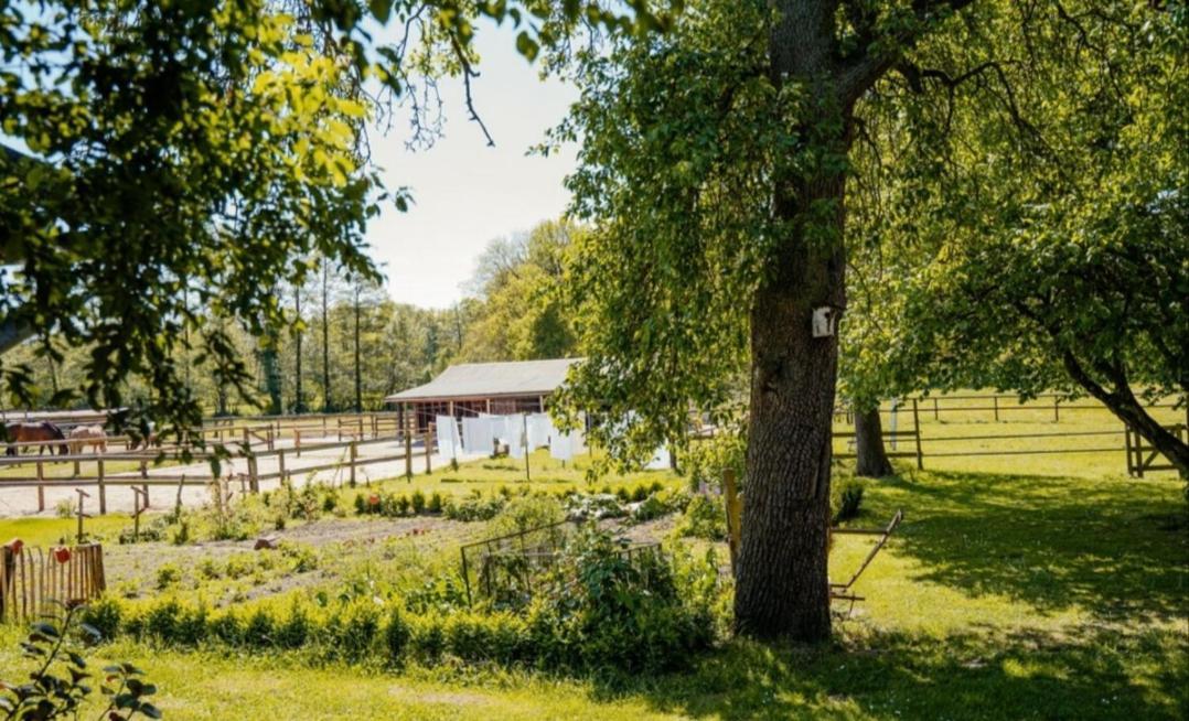 Ferienhof Trapp Ellringen Exterior foto
